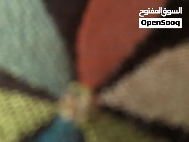 شقة سكنية لبيع بعين ترما ريف دمشق