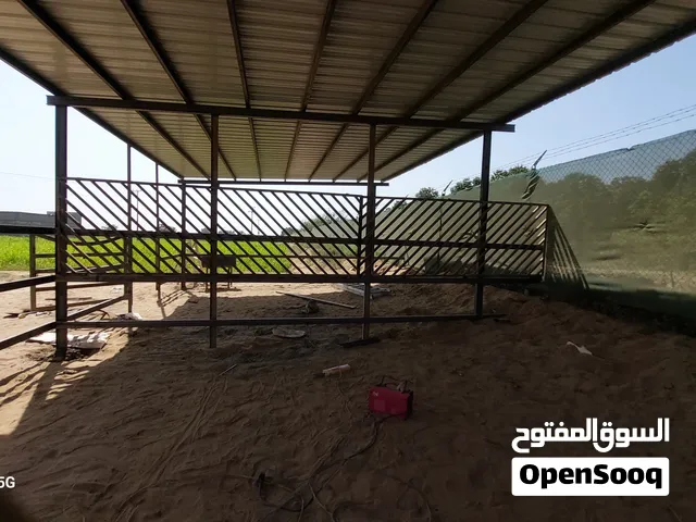 حداد جيزان ابوعريش صامته صبيا بيش