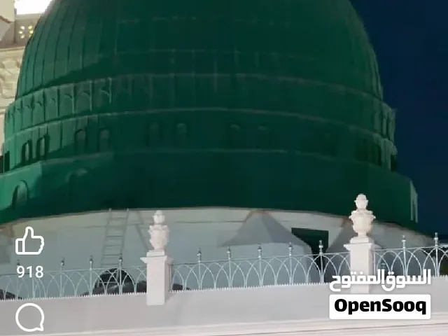 مدرس لغة عربية وقرآن كريم وتجويد عن بعد وفي الموقع لجميع المراحل الدراسية والتعليمية