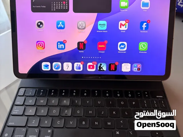 iPad Pro 11 wifi+ Cellular 256 GB