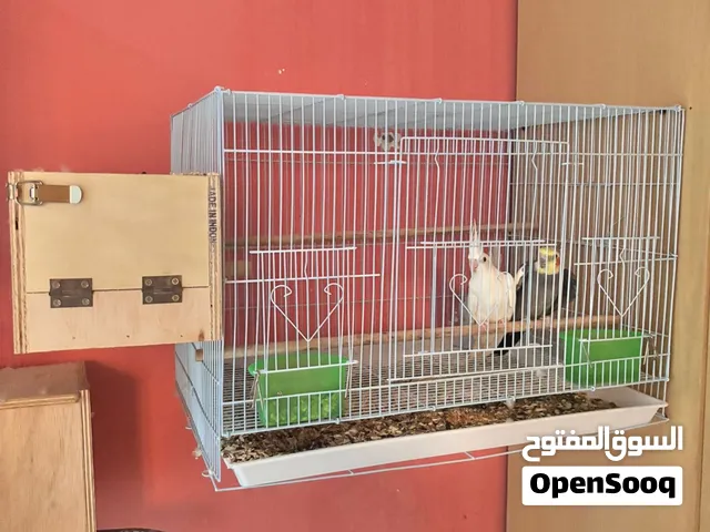 للبيع كوكتيل