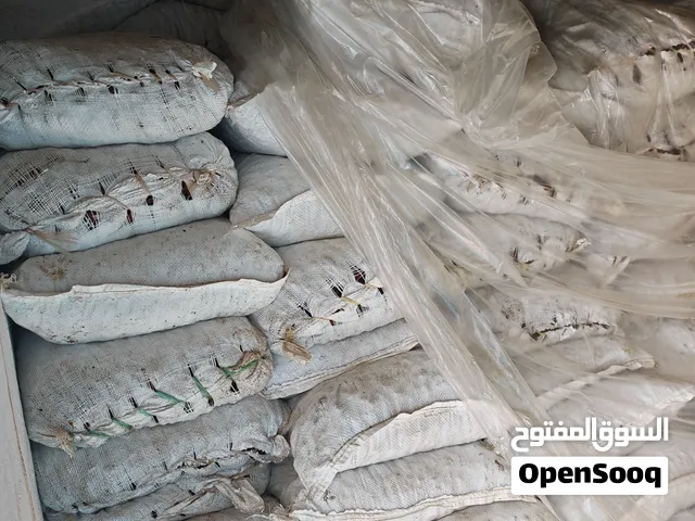 تمر نفيعه للحيوانات