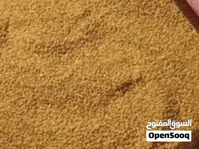 بذر قت عماني فوق 6 سنوات