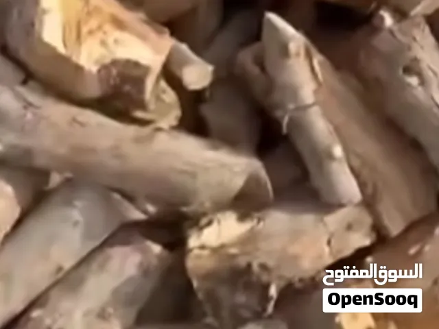 حطب شجر زيتون ناشف