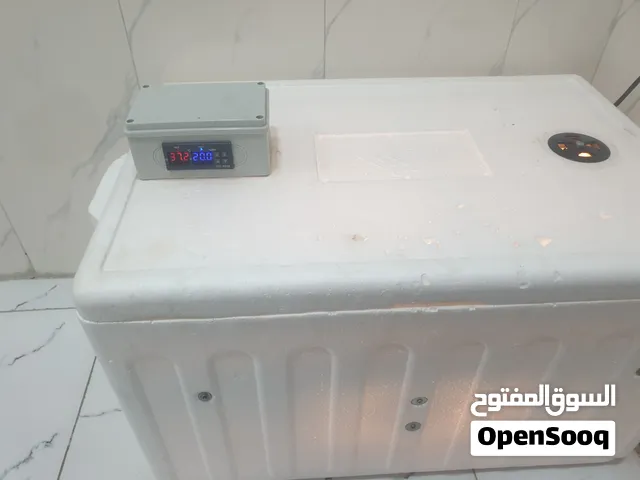 سلام عليكم فقاسه فلين