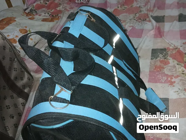 مستلزمات قطط