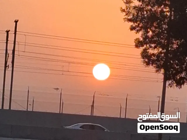 استشارات وتحليل الأعمال