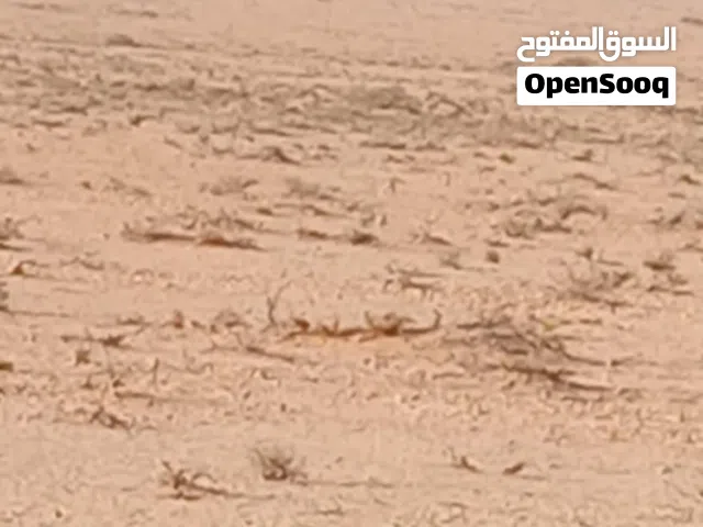 أرض فضاء للبيع