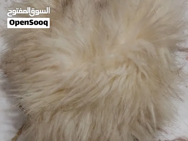 ملابس للبيع السعر 80 اكو غير الي موجود بالصور