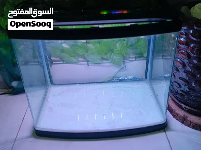 fish tank with light