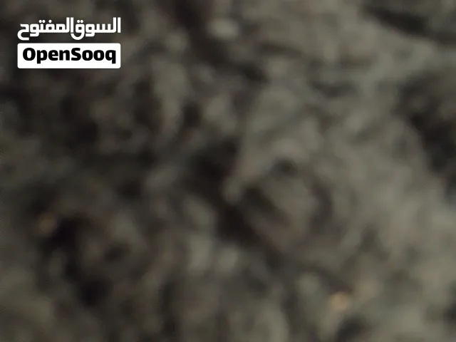 تلفزيون نظيف للبيع