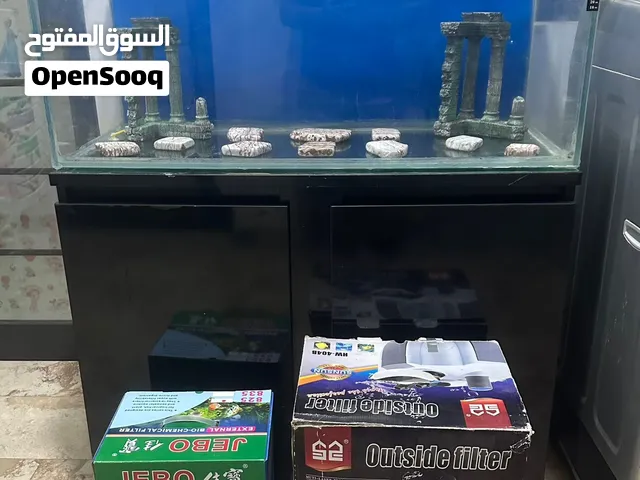 Aquarium and accessories