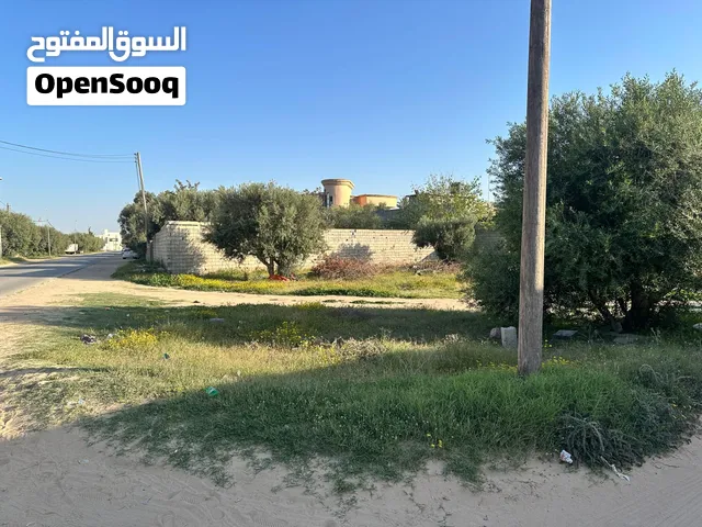 ارض الايجار منطقة كرزاز