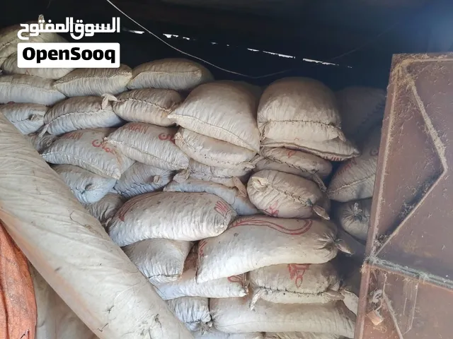 تمر نفيعة مال السنة
