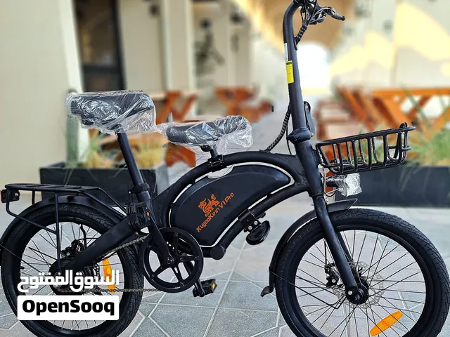 kugoo v1 pro  electric bike