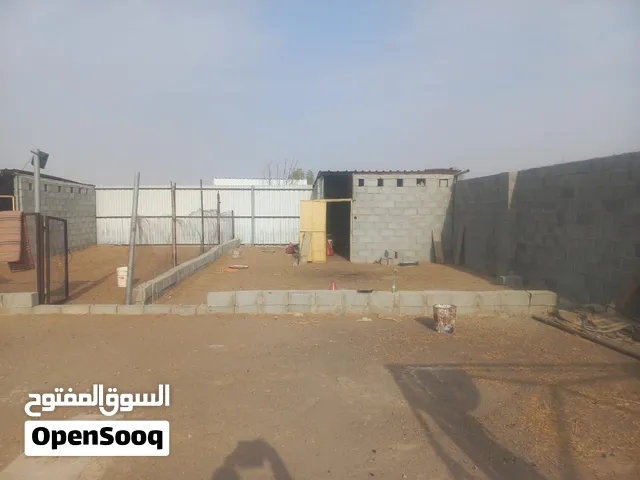 عزابه عدد2 شبك مساحه 800 فوق