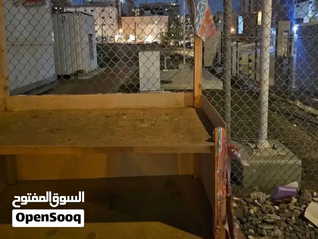 بسطه بطاطس