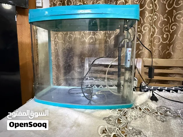 حوض أسماك زجاجي متكامل للبيع