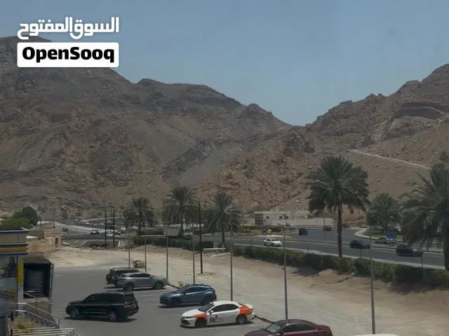 معارض الإيجار
