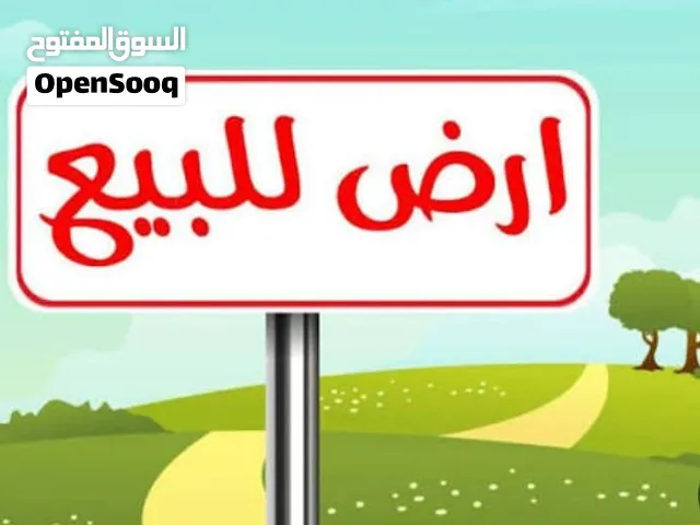 هكتار ونصف ع طريق فرعي..