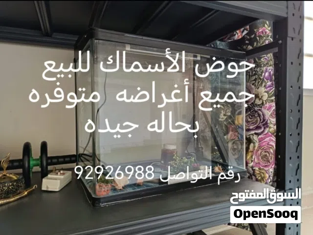 حوض أسماك للبيع