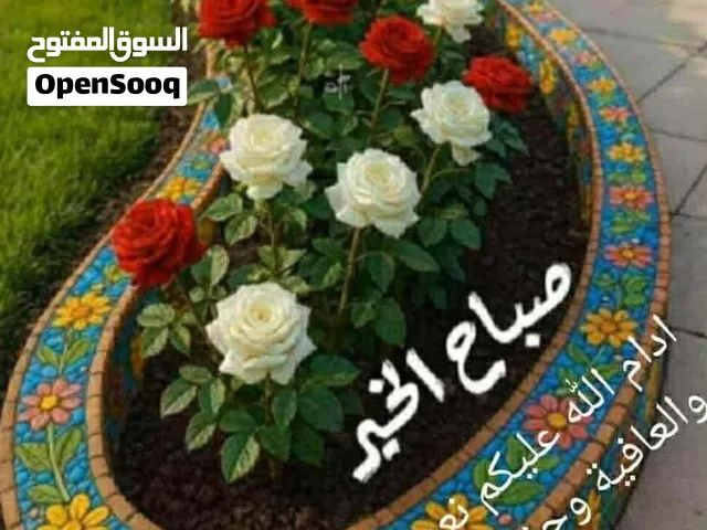 اركويت مربع 47 أستثمار وسكـــــــــن  ناصيه 360 م في ظلط المويه ارضي واول  فوق شقتين كل شقه غرفتين