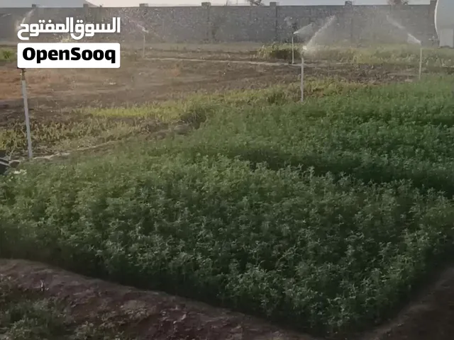 مزرعة مسورة 5000 متر