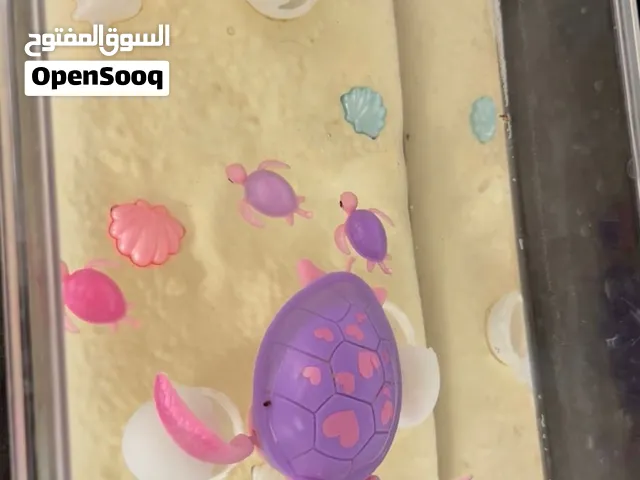 حوض سمك جميل حق اطفال