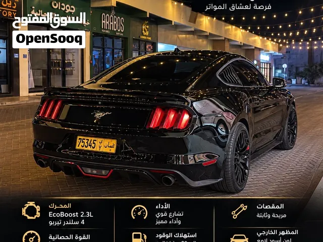 موستنج ايكوبوست