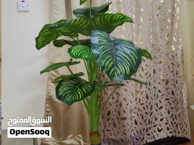 artificial plants  for sale