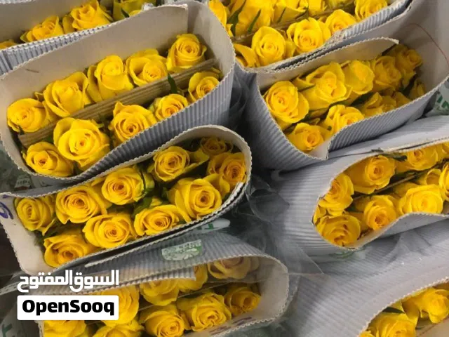 الورد الطبيعي والياسمين للمناسبات