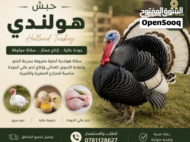 توفر تقريبًا طبق بيض حبش هولندي مخصب  الموقع: بلعما - الزنية  بيض مخصب بجودة ممتازة، مناسب
