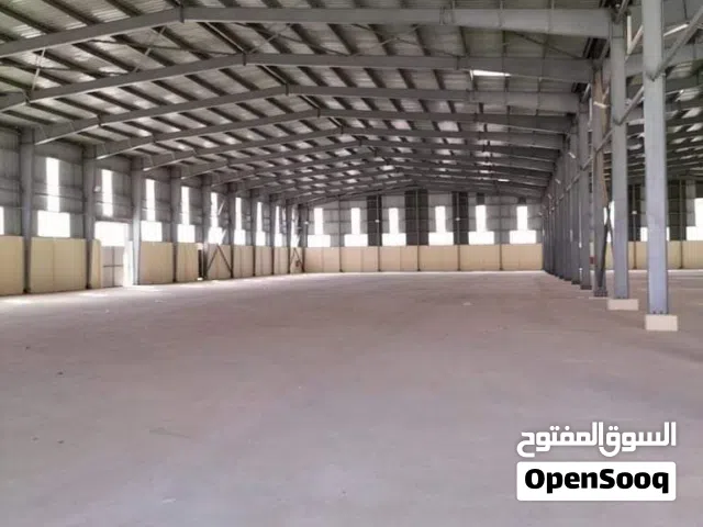 هنجر ايجار قريب من الطريق الرئيسي شوارع واسعه الزراعى والدائرى والصحراوى و محرم بك كذا مخزن مواقع مم
