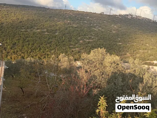 منزل للبيع او للبدل على سياره حديثه ودفع فرق في قرية الطيارة-عجلون