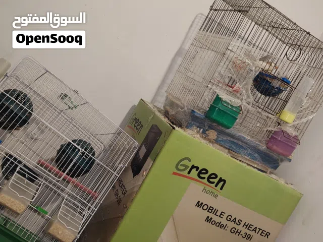 اقفاص عصافير