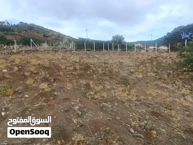 أرض للبيع ملوسة بالضبط عين حمراء