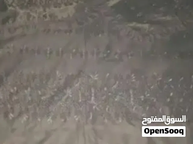 مفرش سرير حرير