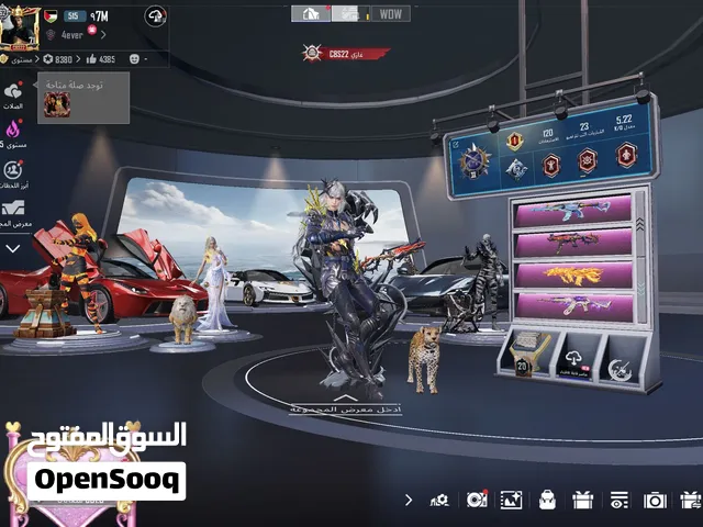 Pubg Accounts and Characters for Sale in Amman