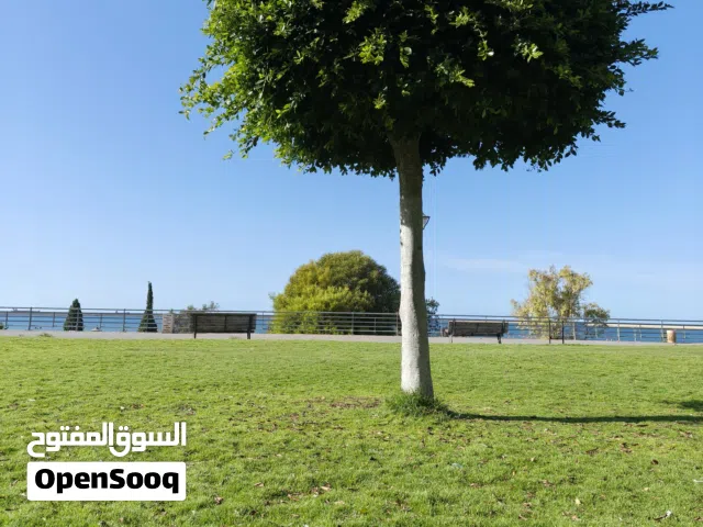 1000 في وادي الربيع شهادة عقاريه ملك خاص