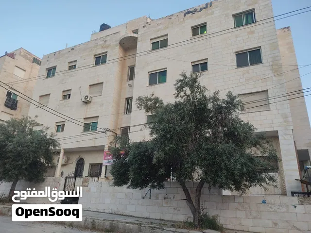 غرف مفروشة في سكن طالبات - اربد -شارع الجامعة مقابل بوابة الآثار شقة مجددة مفروشة فرش جديد