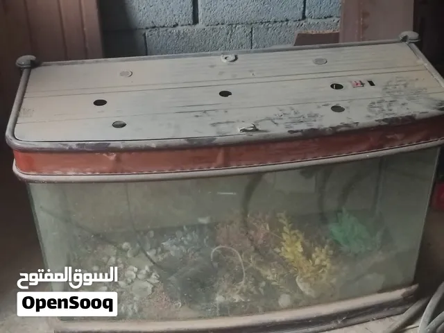 متوفر حوض سمك