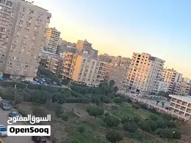 مدينه نصر شارع مصطفى النحاس