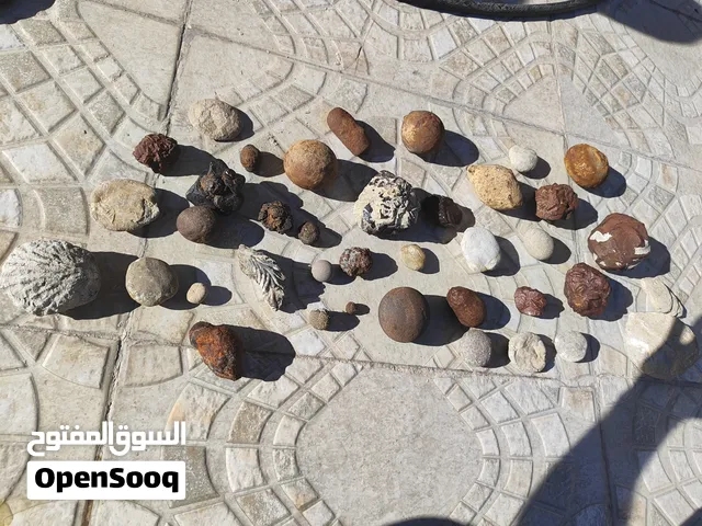 أحجار كريمة نادرة وحفريات جميلة جدًا