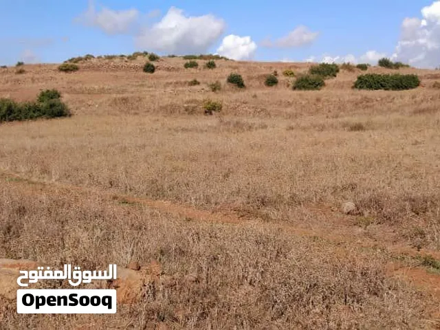 للبيع ارض في قلعة الحصن الشواهد وادي النصارى تصلح لجميع الاستخدامات ومصنفة ارض سياحية