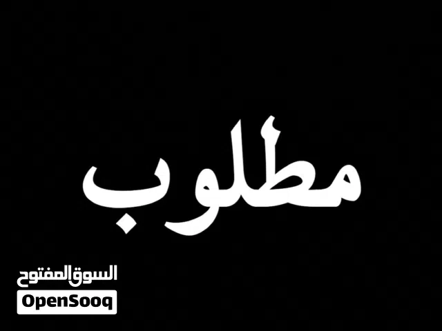 مطلوب عدسة كانون RF 35mm + إضاءة تصوير مستعمل نظيف