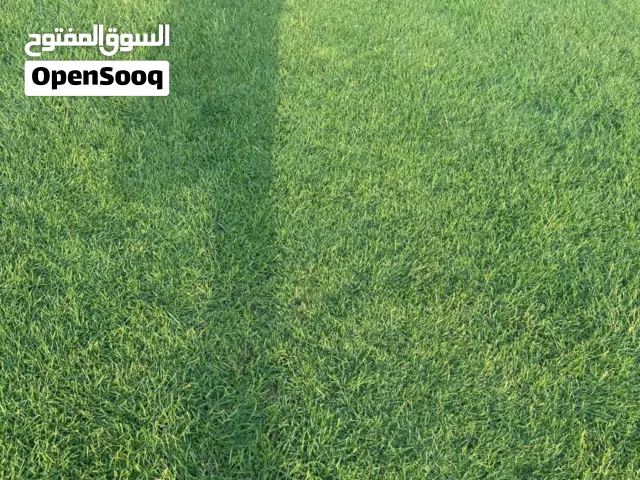 مسحطات الاخضر