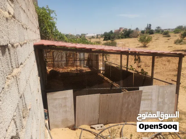 براكة 4x6 ارتفاع 2 م