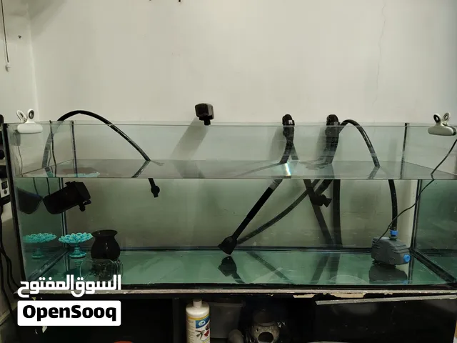 Aquarium chiller canster filter