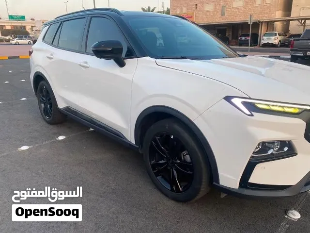 فورد تيريتوري تيتانيوم