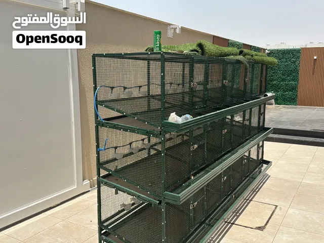 12 Room Cage Amazing custome cage for quail or chicken farming automatic water system.